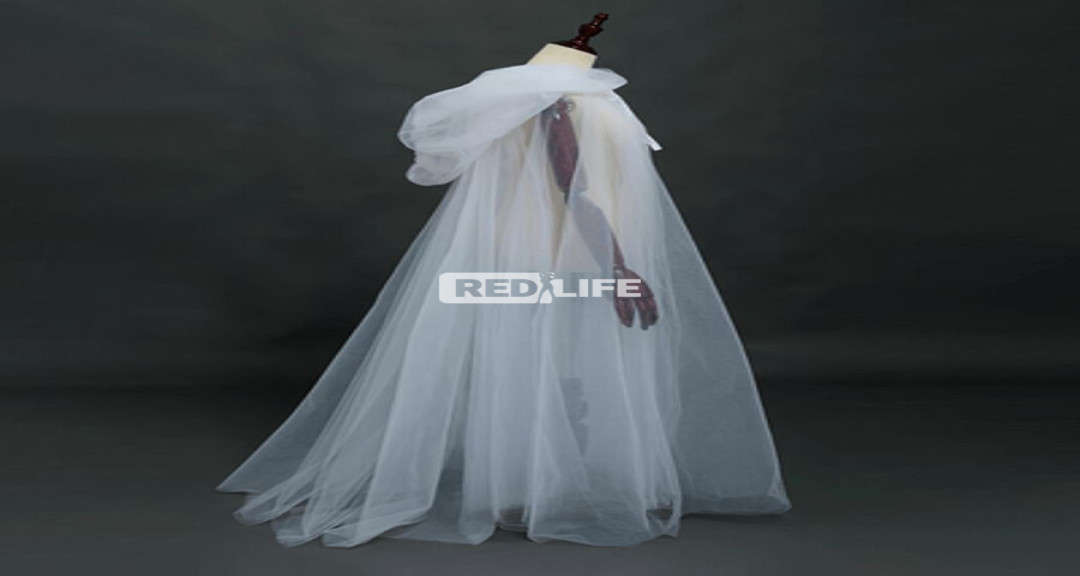 Wanted actress for main role