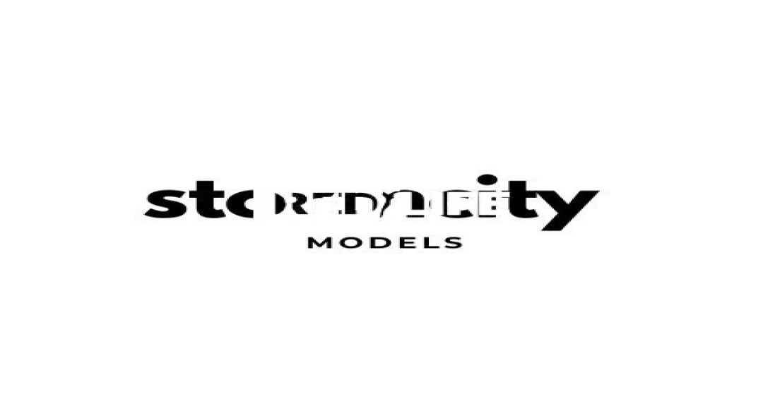 &Uuml;dv&ouml;zl&uuml;nk a Storm City Models