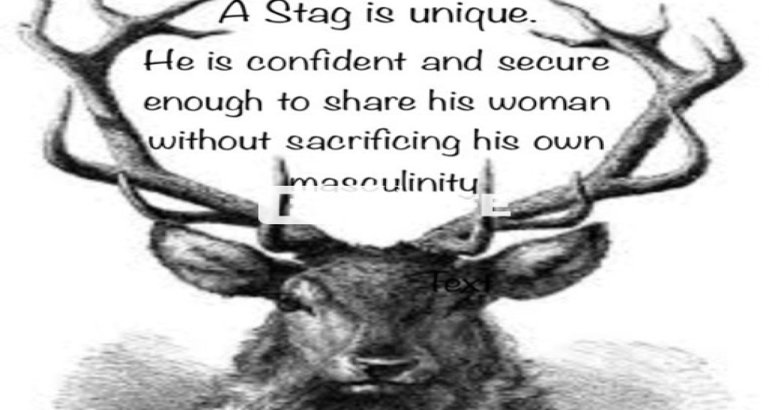 Seeking for 2 suitable ladies