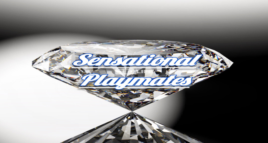 Sensational Playmates is the #1