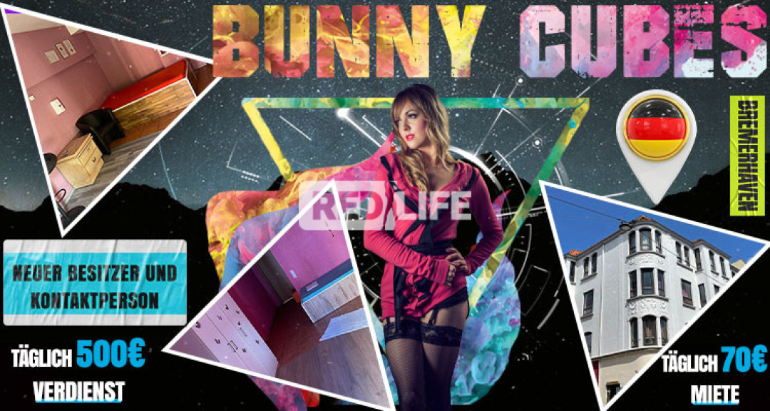 [Bunny Cubes] wartet auf dich