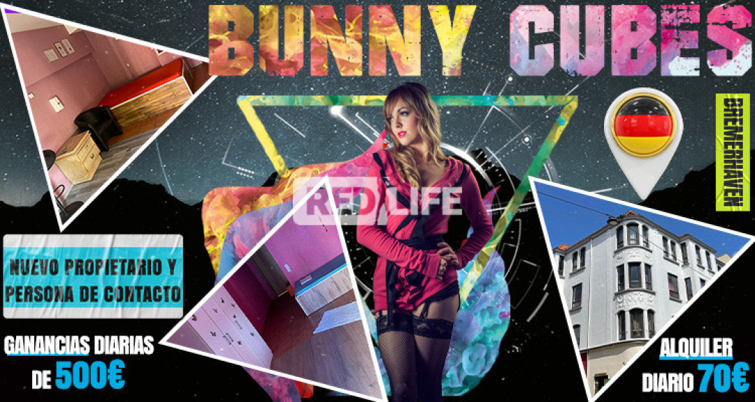 [Bunny Cubes] te espera con