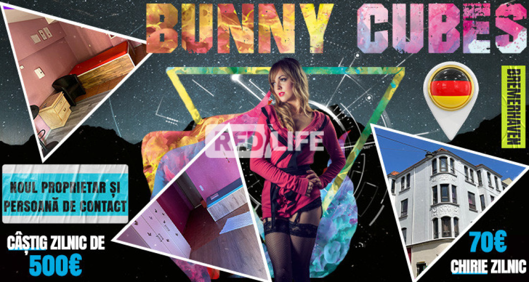 [Bunny Cubes] te așteaptă cu