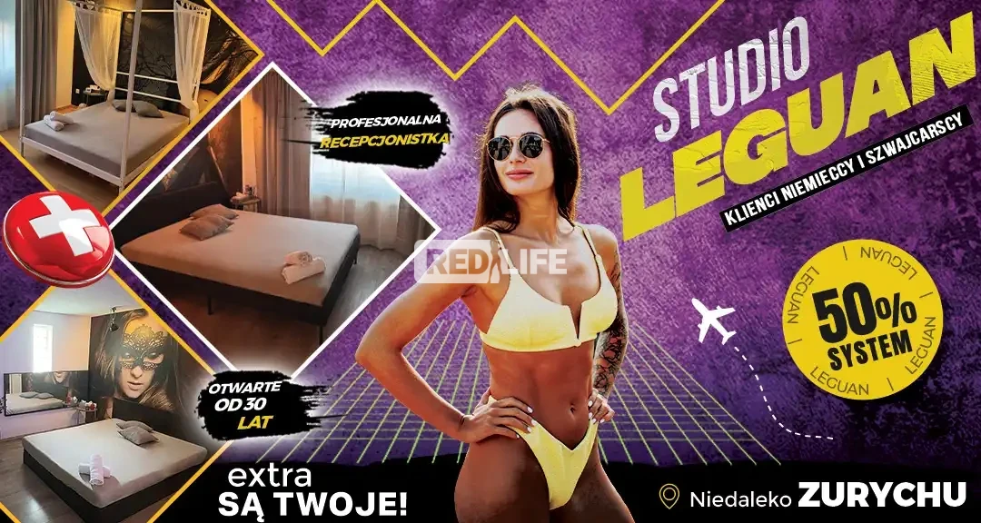 Pracuj w studiu LEGUAN, działającym