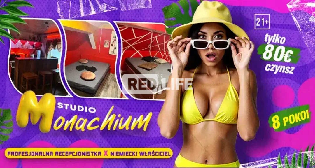 Dyskretne, ale tętniące życiem studio