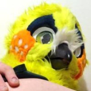 Hornybirb