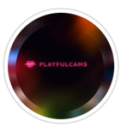 playfulcams