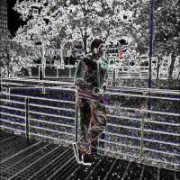 Razif