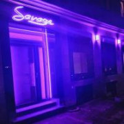 savage-1