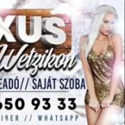 studio15
